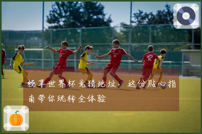 畅享世界杯竞猜地址，这份贴心指南带你玩转全体验