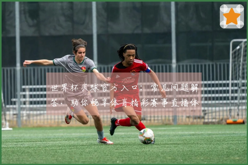 世界杯买球官方入口：常见问题解答，助你畅享体育精彩赛事直播体验