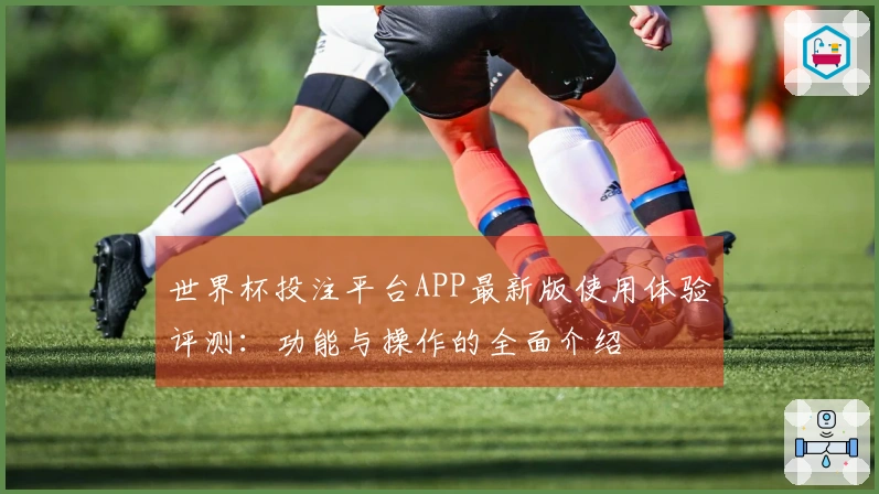 世界杯投注平台APP最新版使用体验评测：功能与操作的全面介绍