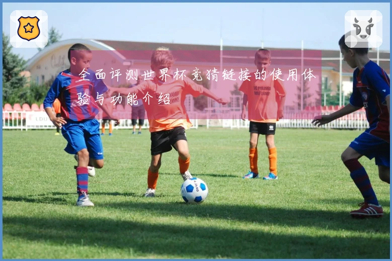 全面评测世界杯竞猜链接的使用体验与功能介绍