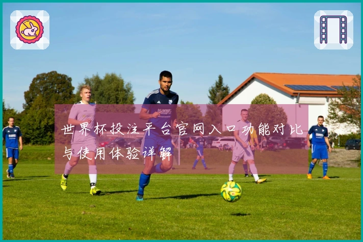 世界杯投注平台官网入口功能对比与使用体验详解