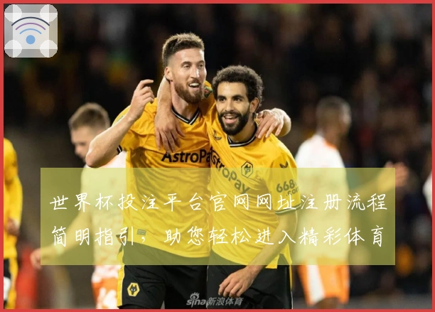 世界杯投注平台官网网址注册流程简明指引，助您轻松进入精彩体育世界