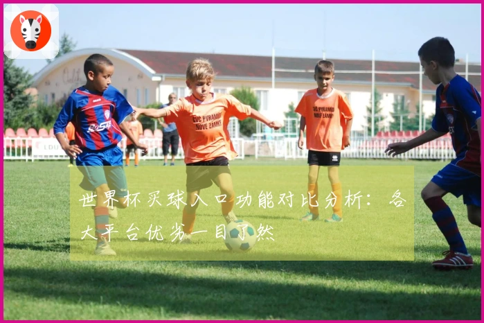 世界杯买球入口功能对比分析：各大平台优劣一目了然
