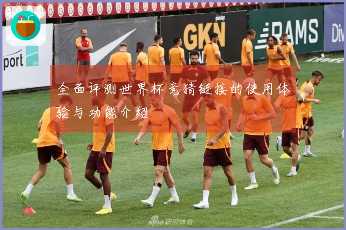 全面评测世界杯竞猜链接的使用体验与功能介绍