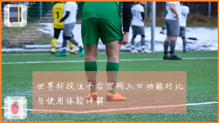 世界杯投注平台官网入口功能对比与使用体验详解