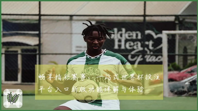 畅享精彩赛事，一站式世界杯投注平台入口新版功能详解与体验