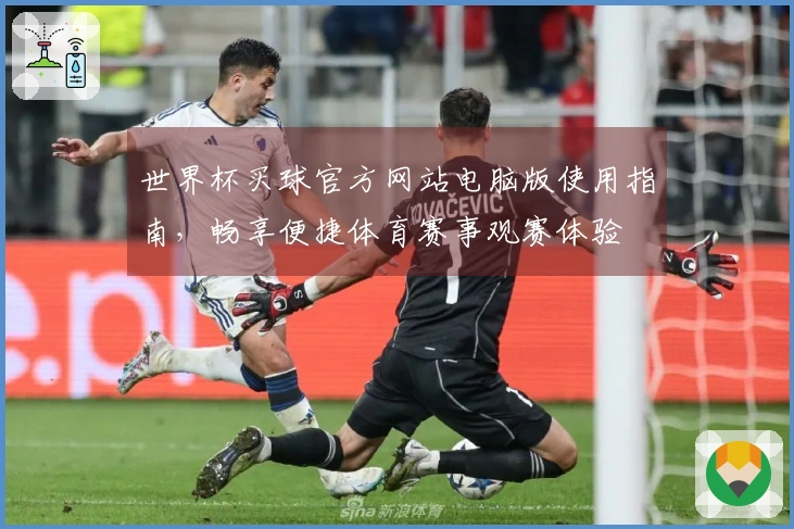 世界杯买球官方网站电脑版使用指南，畅享便捷体育赛事观赛体验