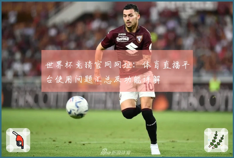 世界杯竞猜官网网址:体育直播平台使用问题汇总及功能详解