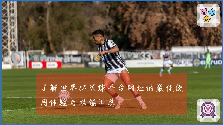 了解世界杯买球平台网址的最佳使用体验与功能汇总