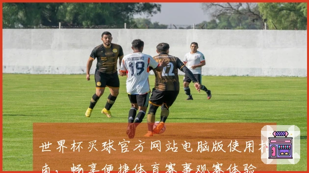 世界杯买球官方网站电脑版使用指南，畅享便捷体育赛事观赛体验
