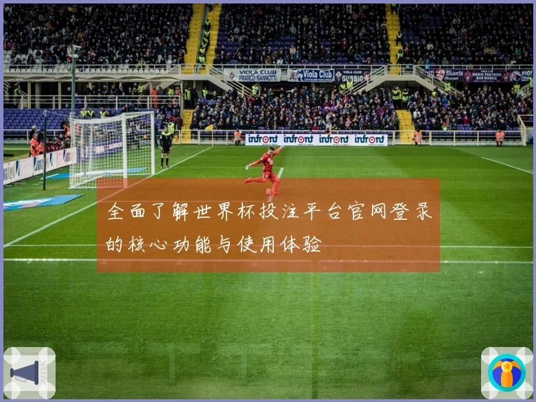 全面了解世界杯投注平台官网登录的核心功能与使用体验