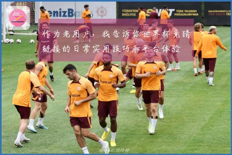 作为老用户，我告诉你世界杯竞猜链接的日常实用技巧和平台体验